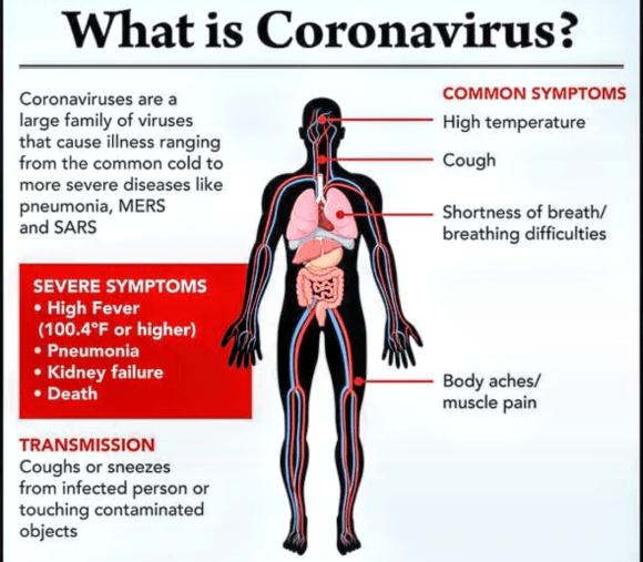 Screenshot_20200416-132118