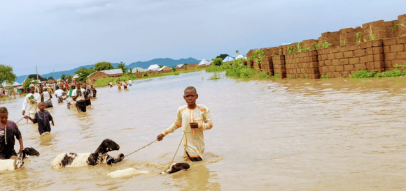 Screenshot_20200807-185938